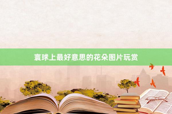 寰球上最好意思的花朵图片玩赏