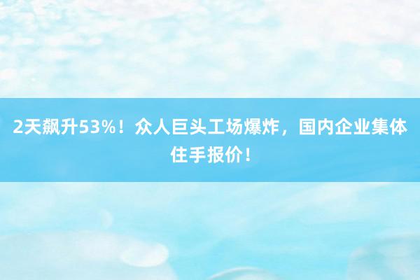 2天飙升53%！众人巨头工场爆炸，国内企业集体住手报价！
