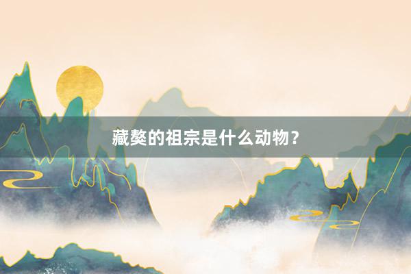藏獒的祖宗是什么动物？
