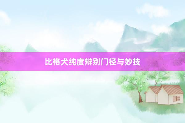 比格犬纯度辨别门径与妙技